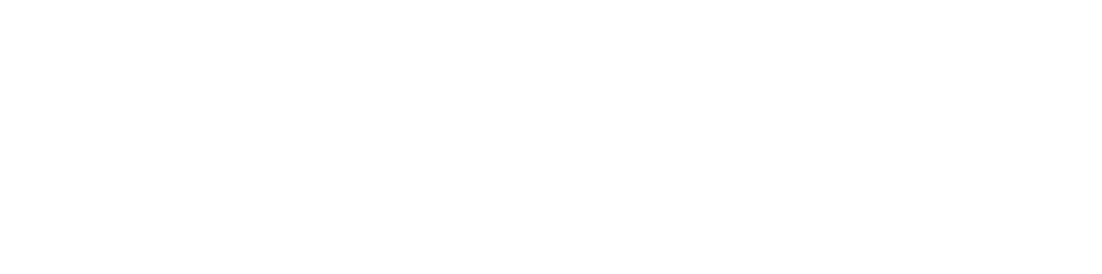 Citadel Security Consulting Logo